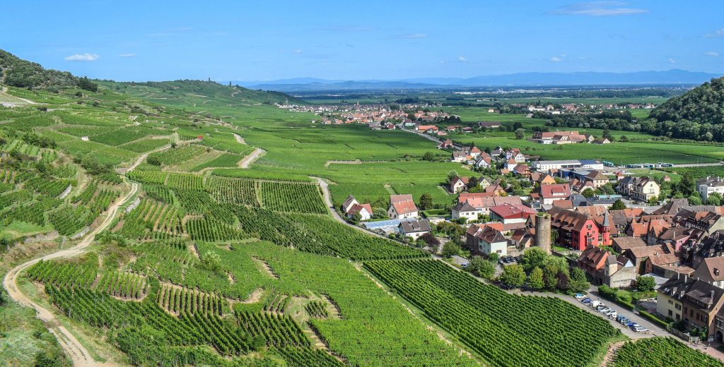 Elsass Elsass